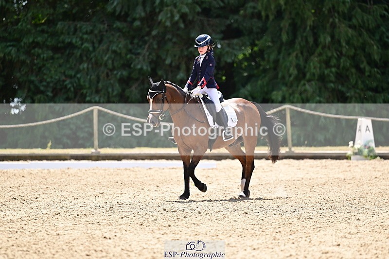260802A-122736-06231 - Novice Silver break- end
