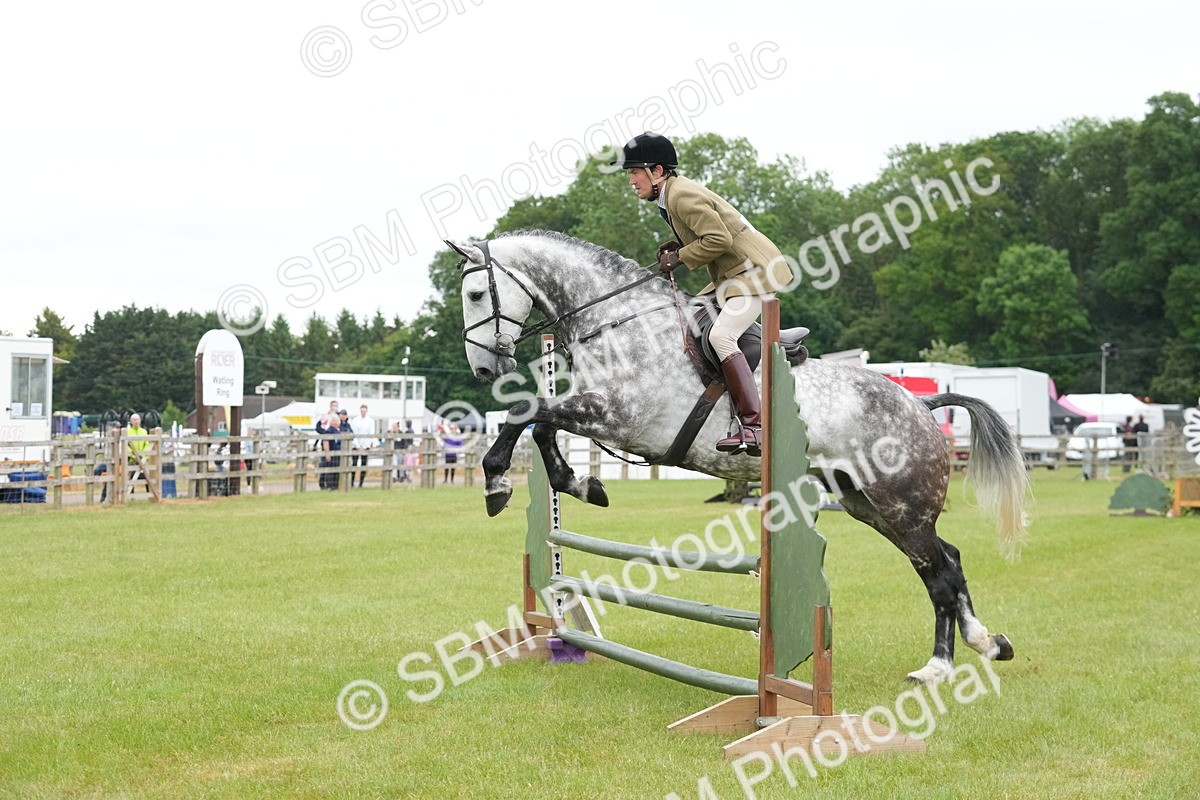 SBM_12605 - Class 97-98 - LIHS BSHA Rising Star Working Show Horse Hunter