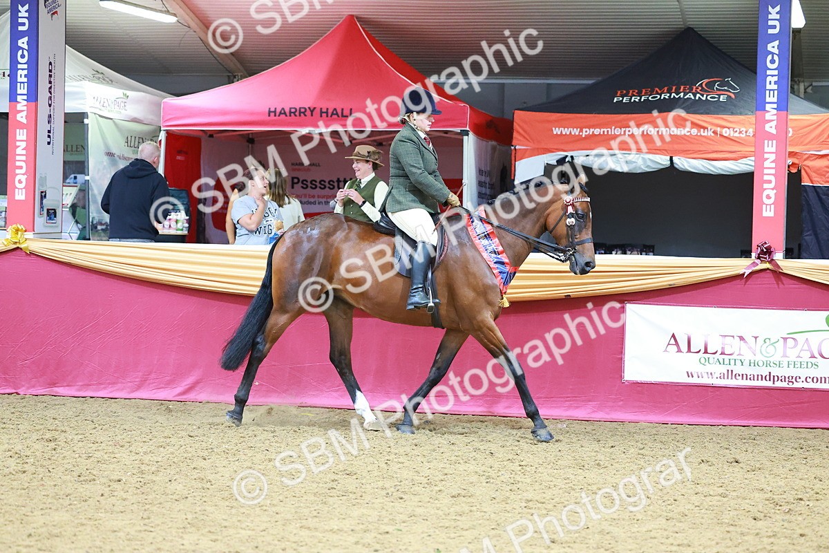 SBM_06404 - Regional Ridden Championship