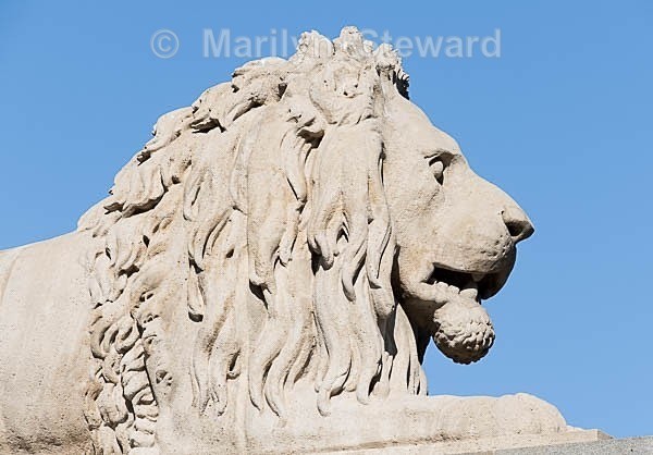 Budapest, Chain bridge lion - Capitals of Eastern Europe