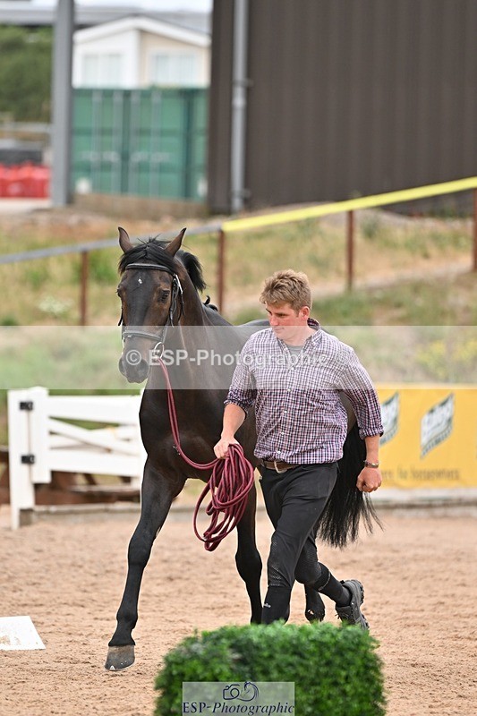 250716-160349-02379 - Trot Up 3.30 to 4.30