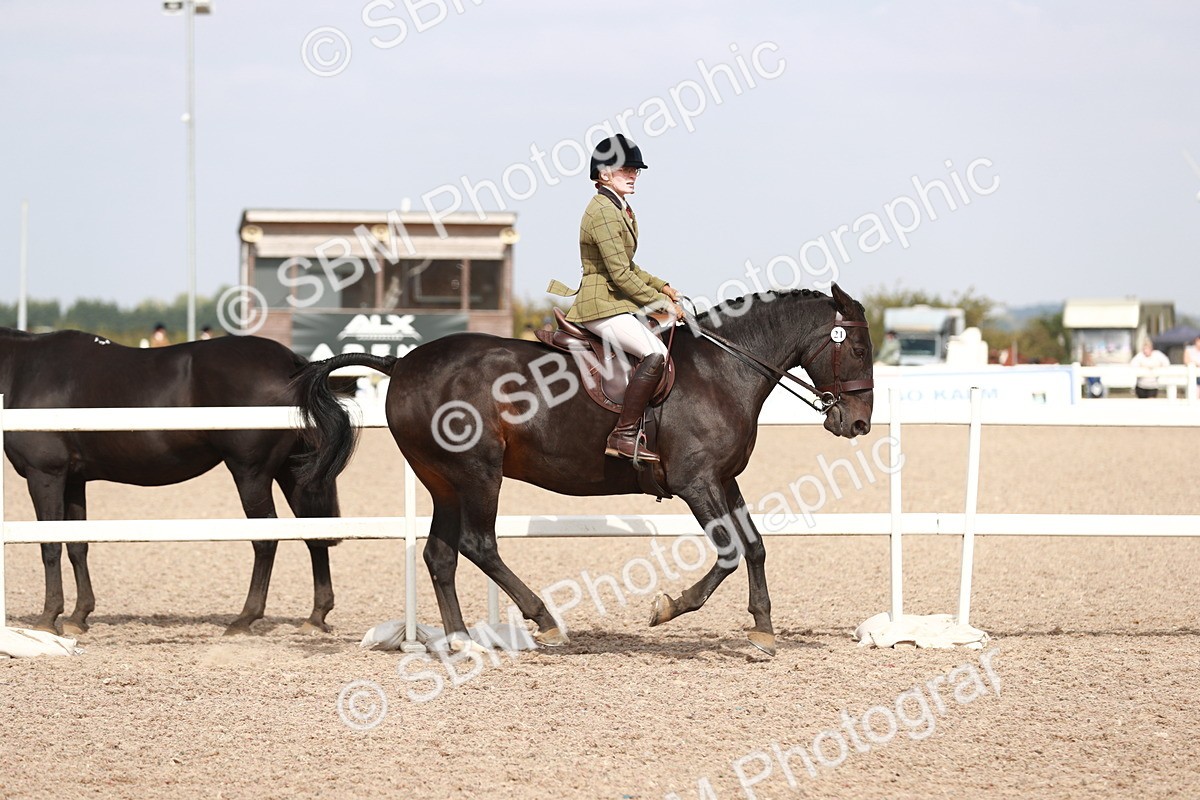 SBM_14838 - Class 212 Ridden Hunter - Small