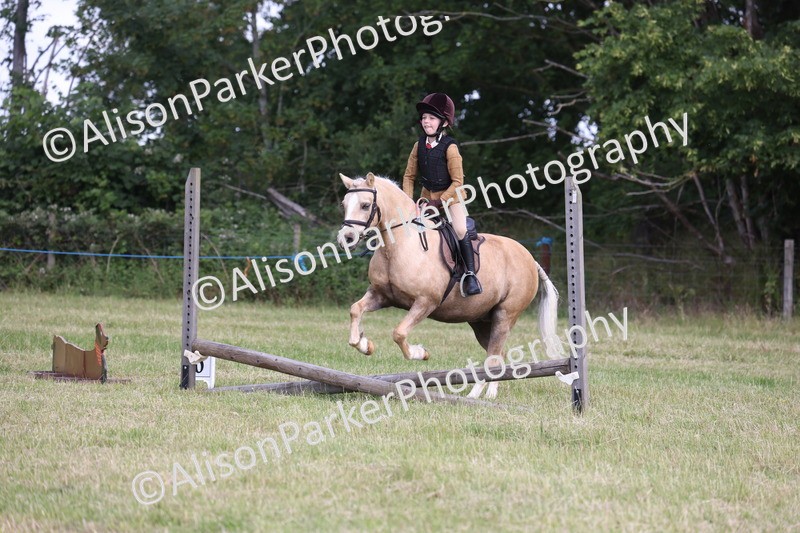 20260614-0450 - Class 20 - Beginners Working Hunter Pony