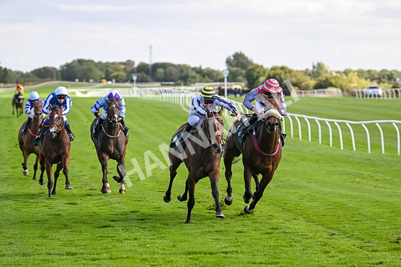 100924-Race 4-Scarboroughwarning-0342 - Race 4