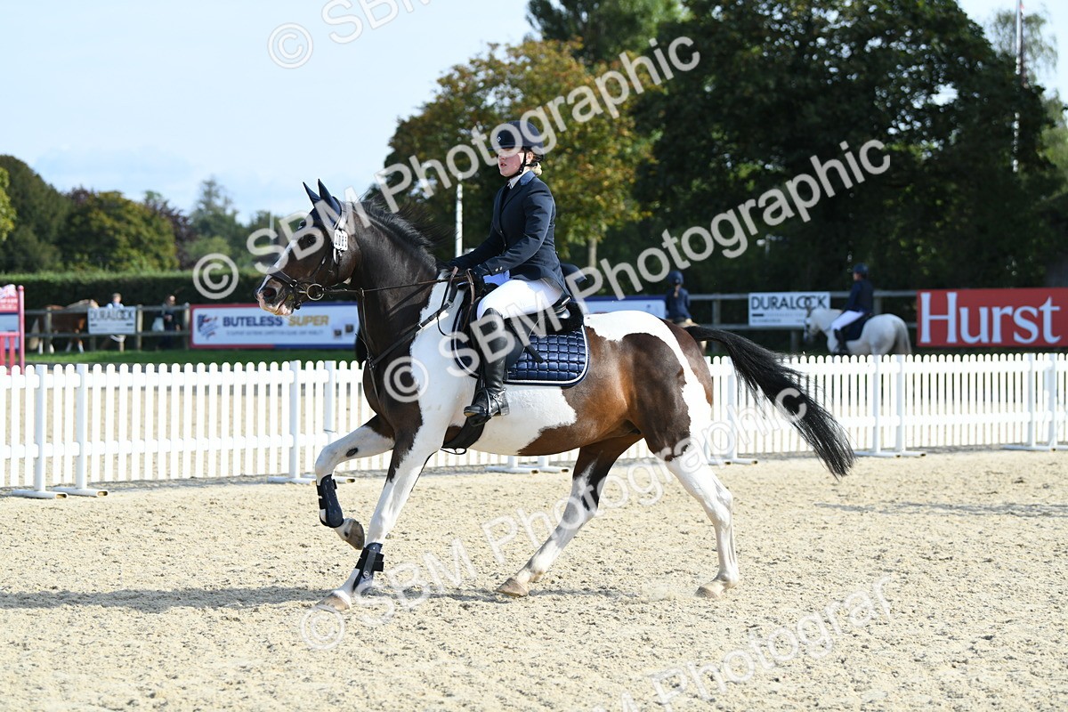 SBM_61555 - j25 - Junior Horse 80cm Championship