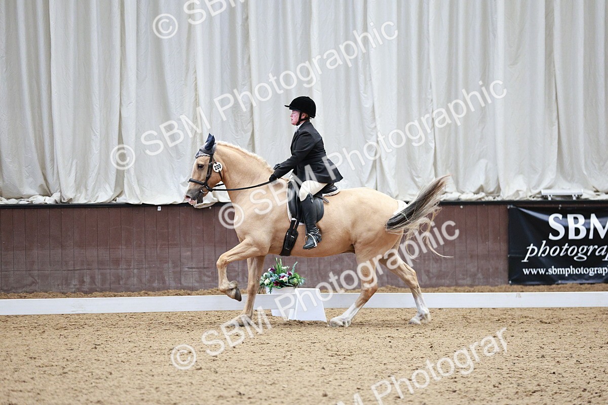 SBM_004668 - Class 13 - Novice FSM - 10.10-9.54