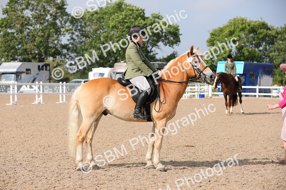SBM_11422 - Class 305 Ridden Foreign Breeds- Pure Bred