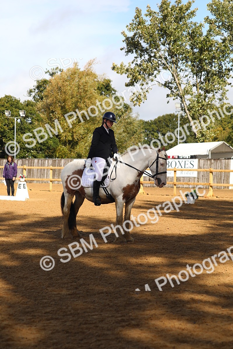 SBM_39008 - D21 - Junior Championship Intro 1