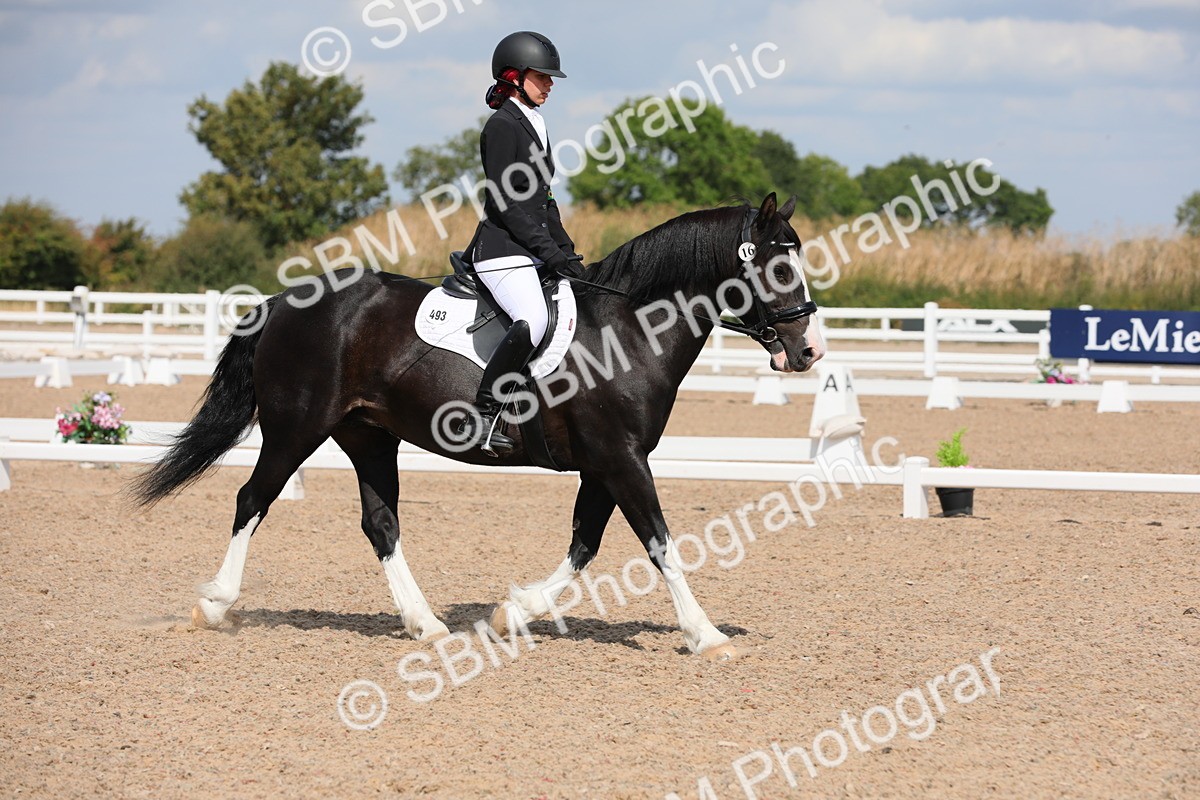 SBM_04164 - Class 31 Prelim 1