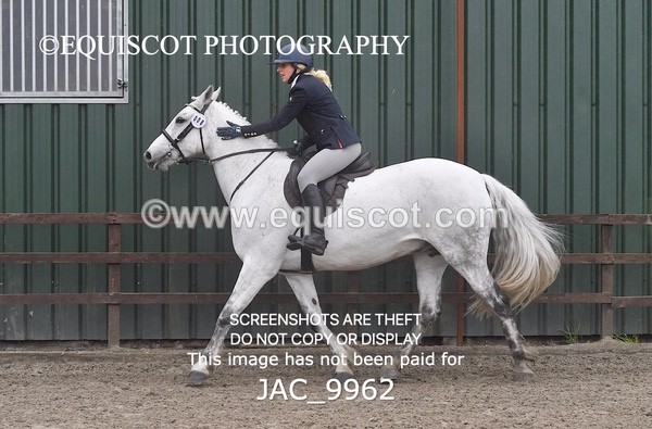 JAC_9962 - CLASS 3 Intermediate Working Hunter (0.70m - 0.85m)
