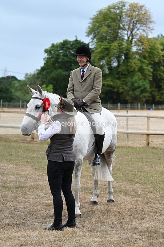 WJ7_0971 - Class 7 Riding Club Show Horse