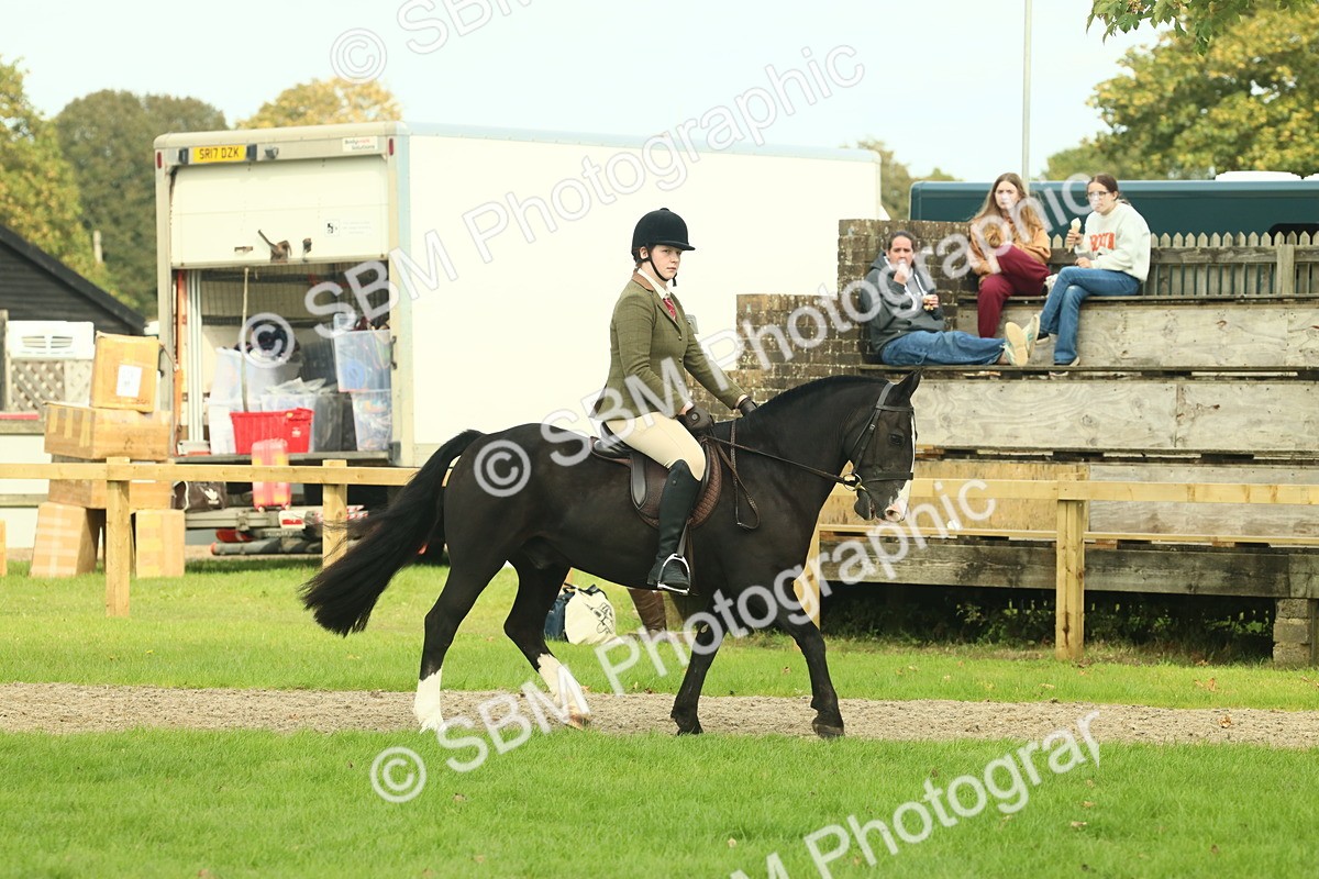 SBM_68181 - S58 - Mini Show Cob Ridden