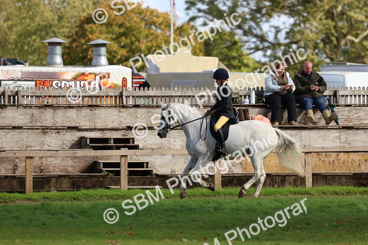 SBM_47835 - S28 - Veteran Ridden