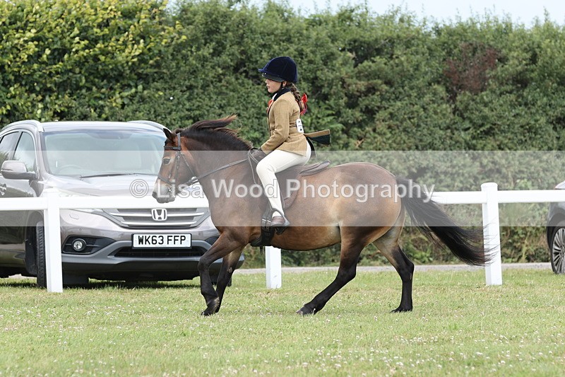JPP_1933 - Class 18: Tiny Tots Working Hunter Pony