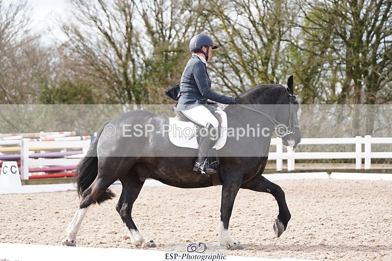 250322-112054-00242 - DR Elementary 1 Test