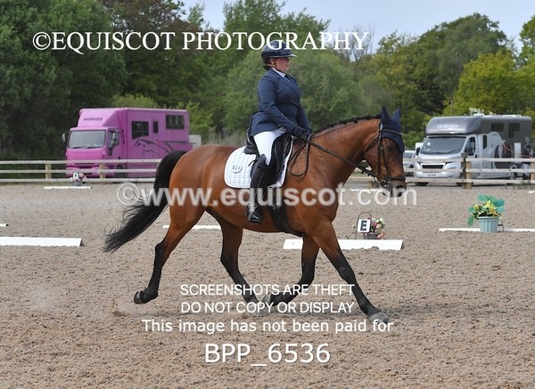 BPP_6536 - 24 L HAMILTON