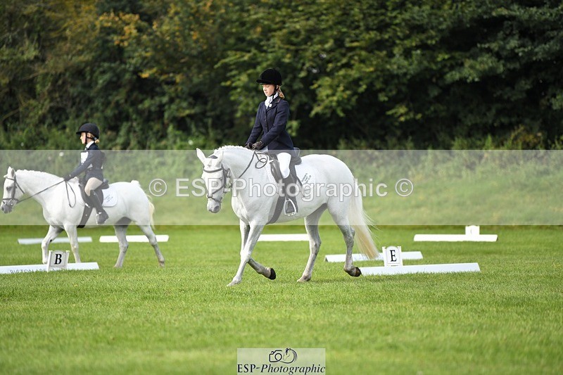 230826-104355-15583 - Sections C & D 10 to End