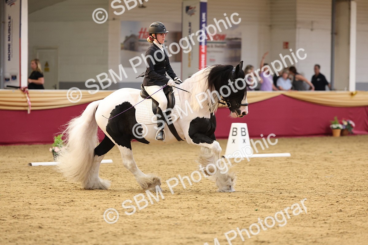 SBM_09335 - Class 51 - Dressage to music