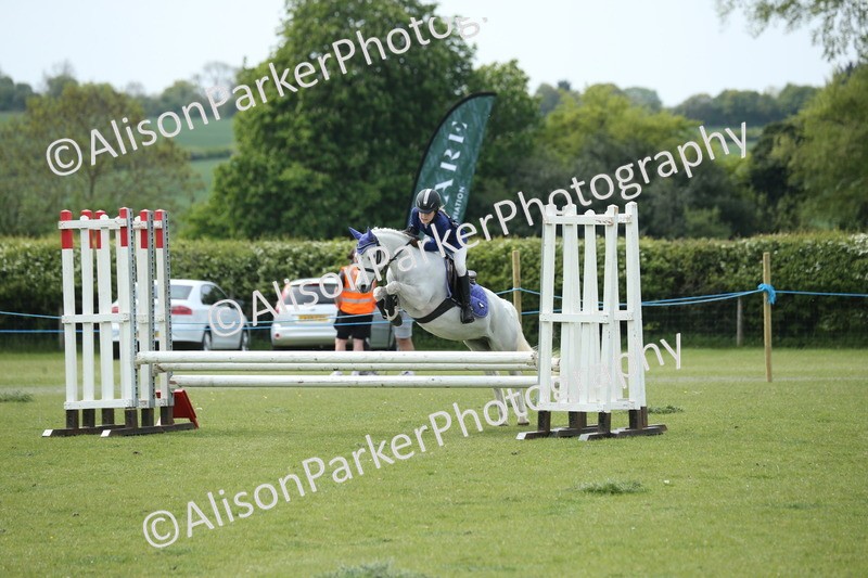 20260426-2110 - Class 15 - Absolute Novice 70cm