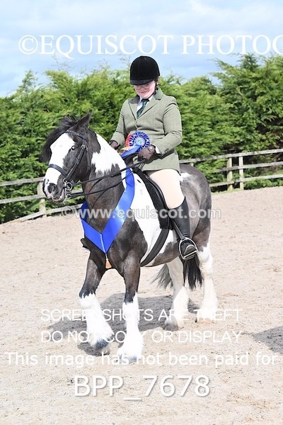 BPP_7678 - RING 1  (RIDDEN HORSES / IN HAND / VETERAN ETC)