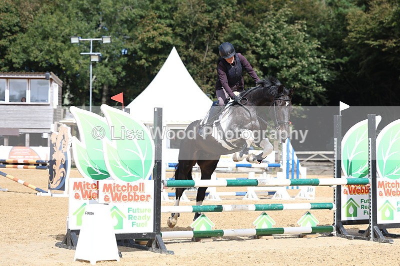 3E7A9244 - Class 9: Senior British Novice/90cm open