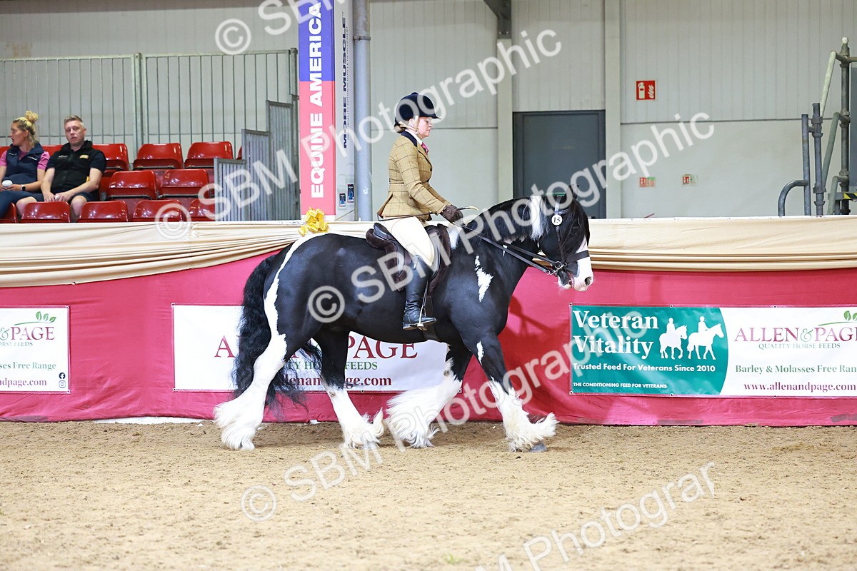 SBM_06169