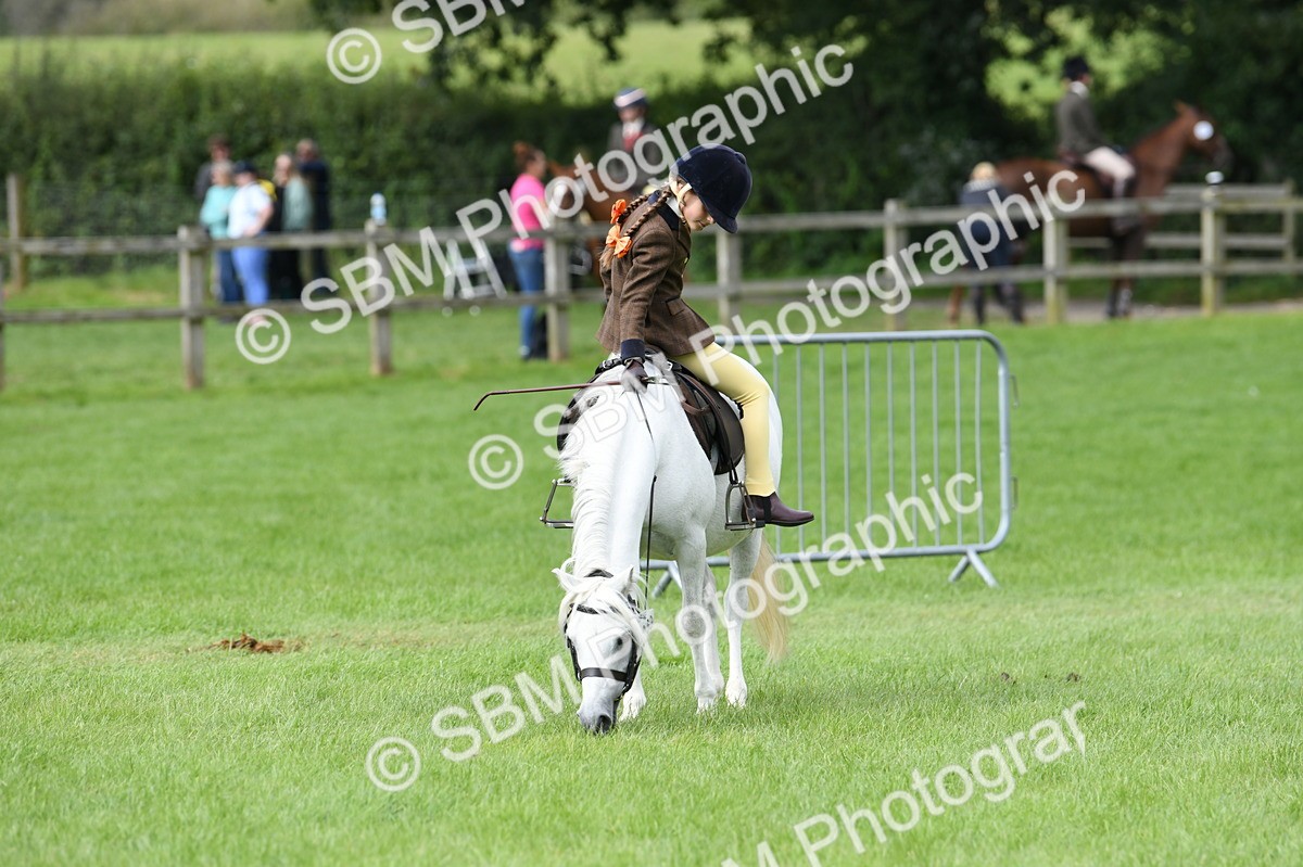 SBM_46811 - S12 - Family Horse & Pony