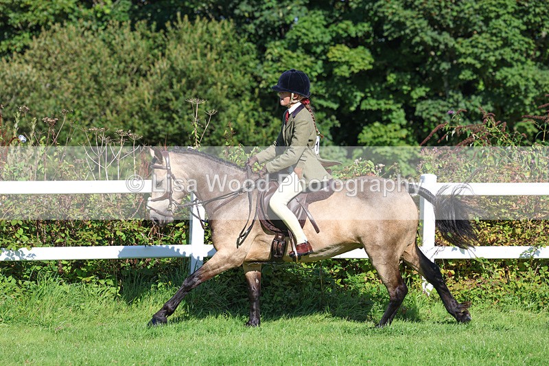 3E7A7868 - Class 2: Open Working Hunter pony