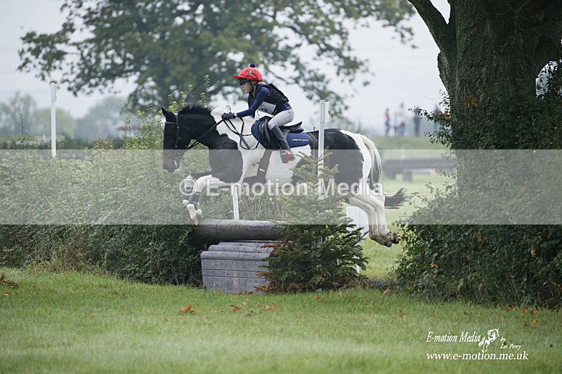 WWHT 171021 0075 - Novice Restricted (0.80m)  17/10/21