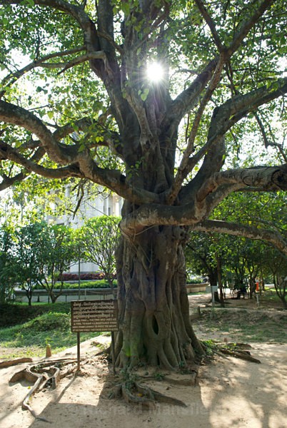  - Cambodia
