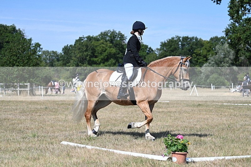 WJ7_0285 - Time 11:33 to 11:44