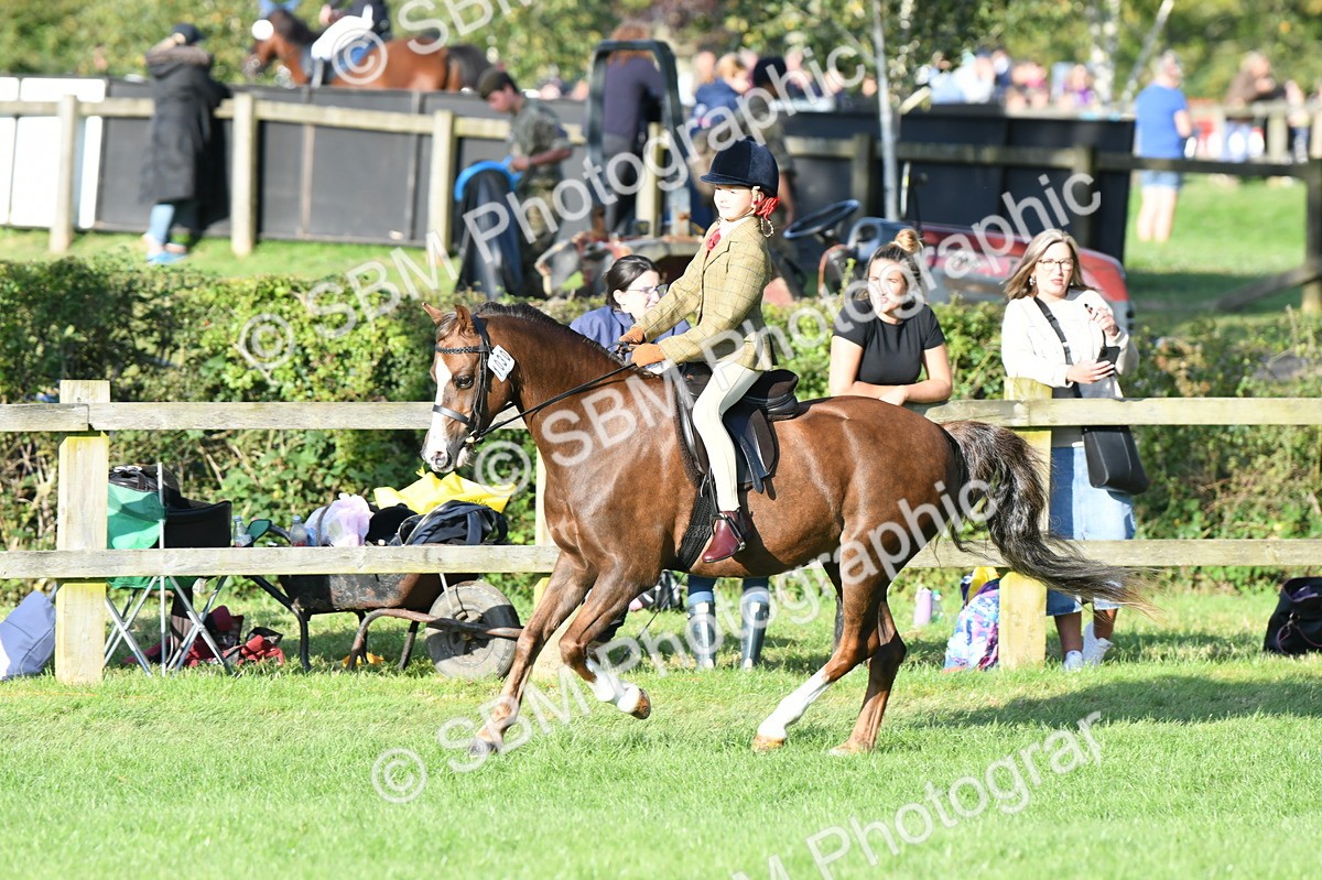 SBM_54044 - S23 - 1st Ridden Mountain & Moorland Pony