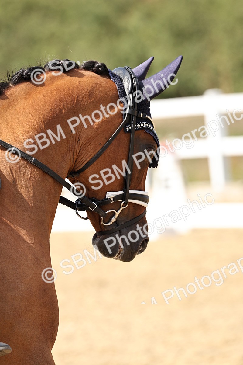 SBM_014834 - Class 7 - Medium 3