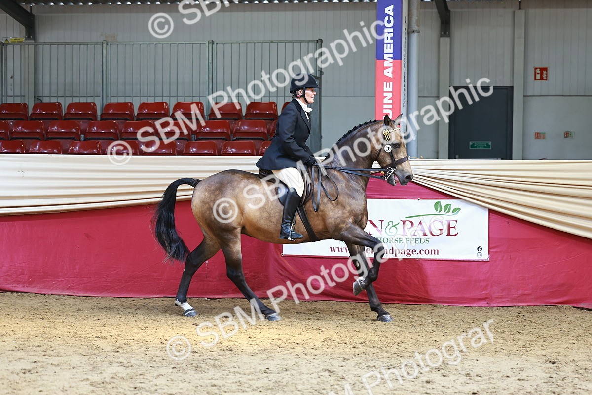 SBM_23929 - Class 905 - Supreme Final - Ridden Veteran