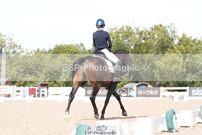 250906-134111-03371 - 113-Nicole.JahanshahiVirtual.Attraction