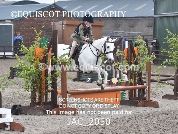 JAC_2050 - CLASS 1 Nursery Novice Working Hunter