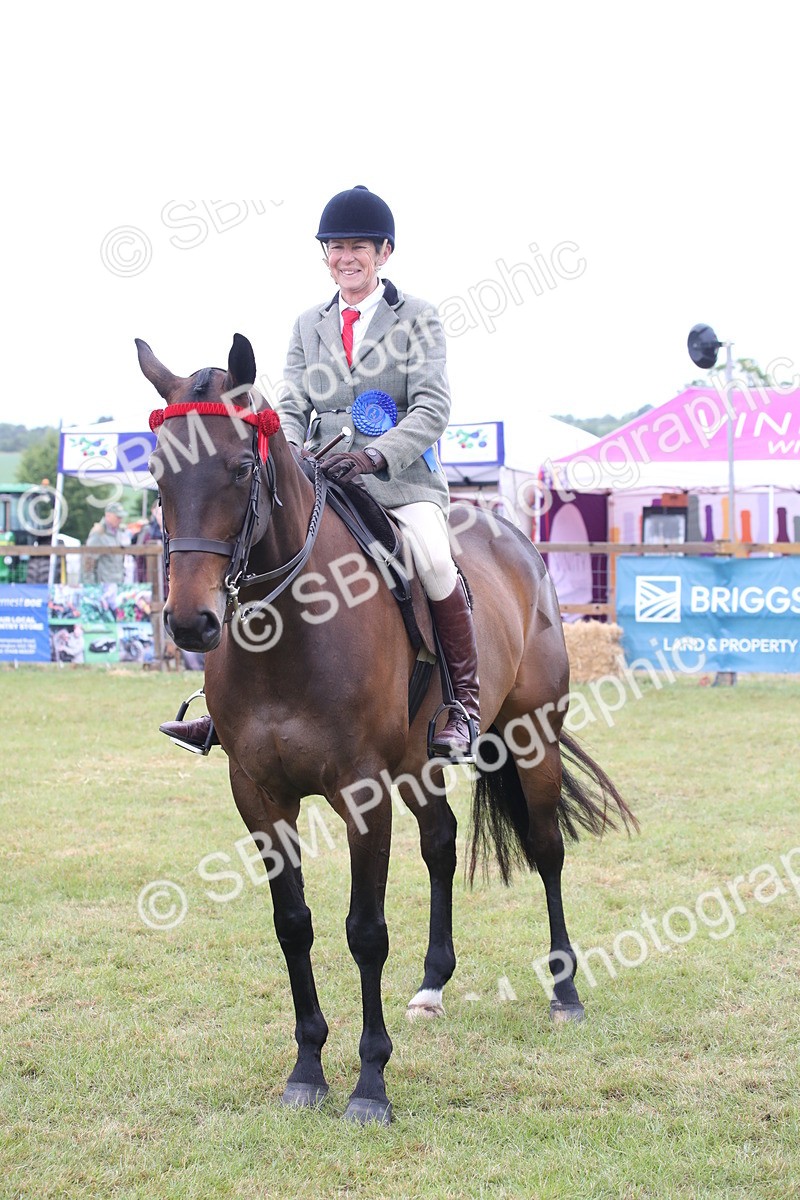 SBM_11467 - Class 94 - LIHS BSHA Racehorse to Showhorse