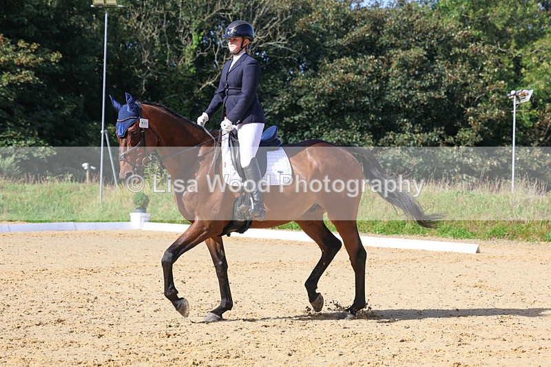 3E7A2545 - Class 1: Intro 4 2024 section A