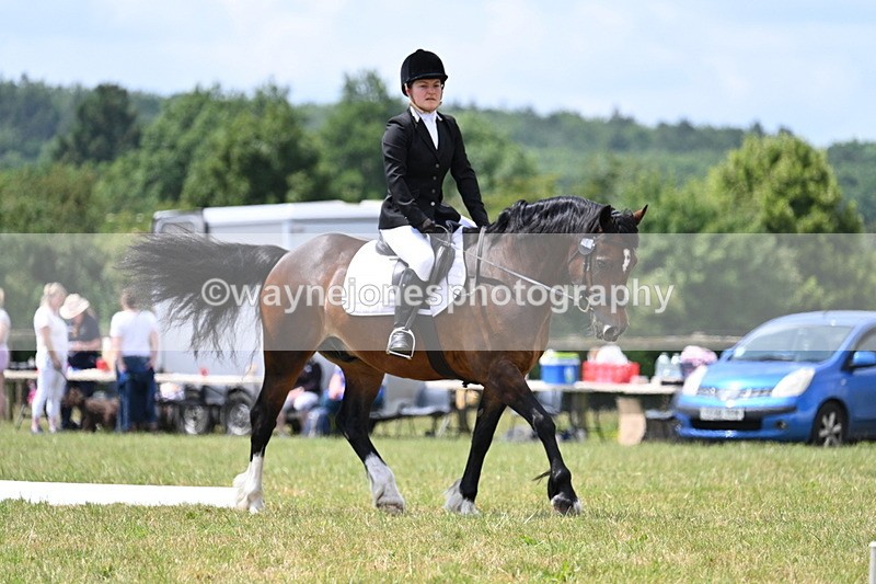 WJ7_5584 - Time 11:52 to 12:10