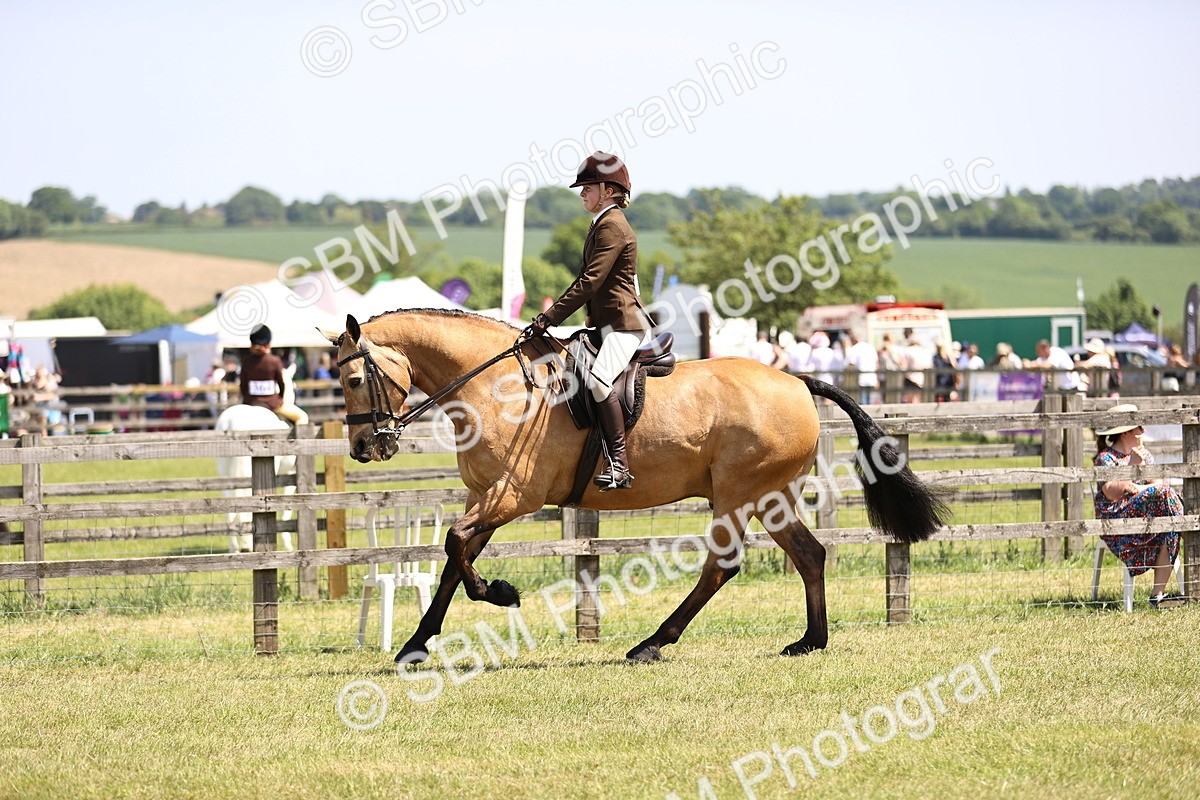 SBM_15085 - Class 79-80 - LIHS BSHA Rising Star Ridden Hunter