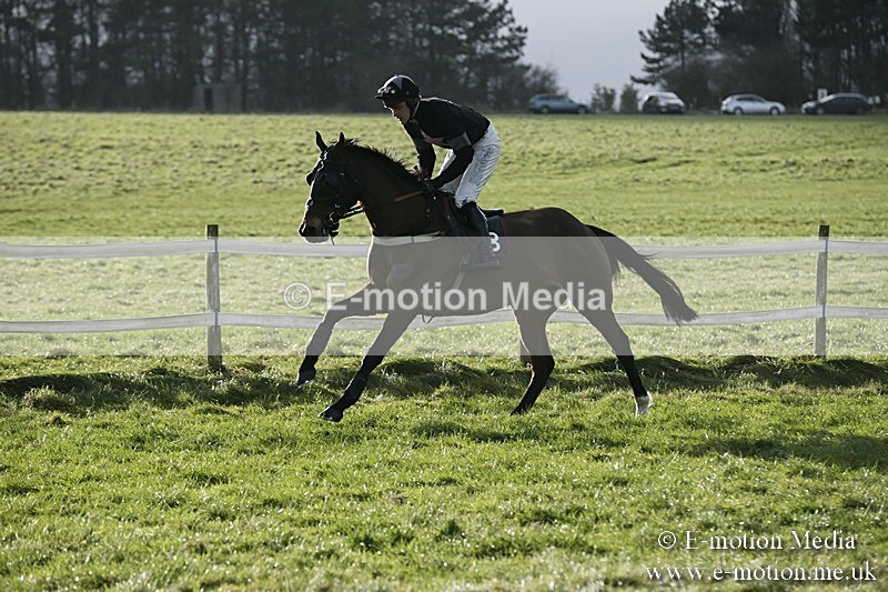 PtP 070118 -6 - Larkhill Racing Club Point to Point Larkhill 07/01/2018