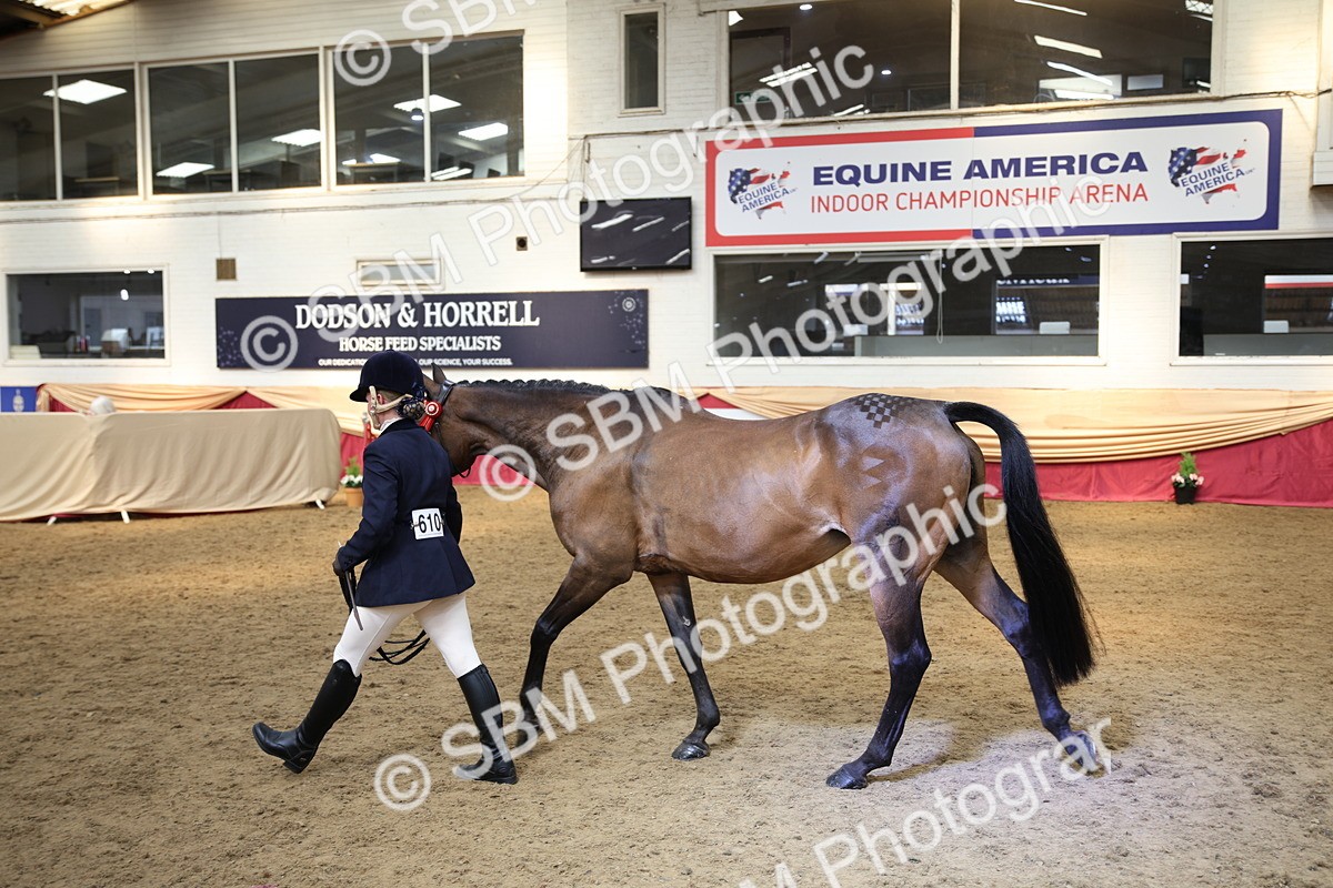 SBM_24275 - Class 905 - Supreme Final - Ridden Veteran