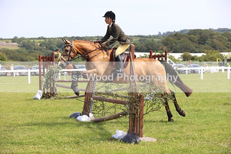 JPP_3721 - Class 23: Working Hunter 80cm