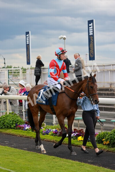 yr21052022r4-6 - Race 4: 3:30pm William Hill Brontë Cup