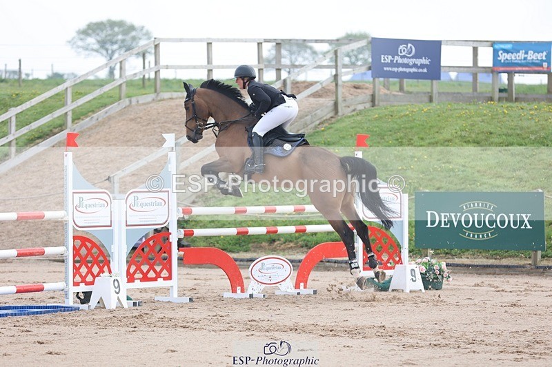 250424-092024-02717 - Cls 29 Young Horse 6yr old