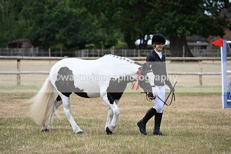 WJ6_4542 - Class 10 Coloured In-hand