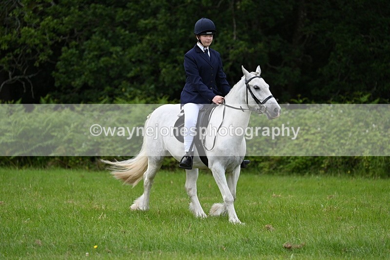 WJ7_2587 - Class 12A Coloured Class