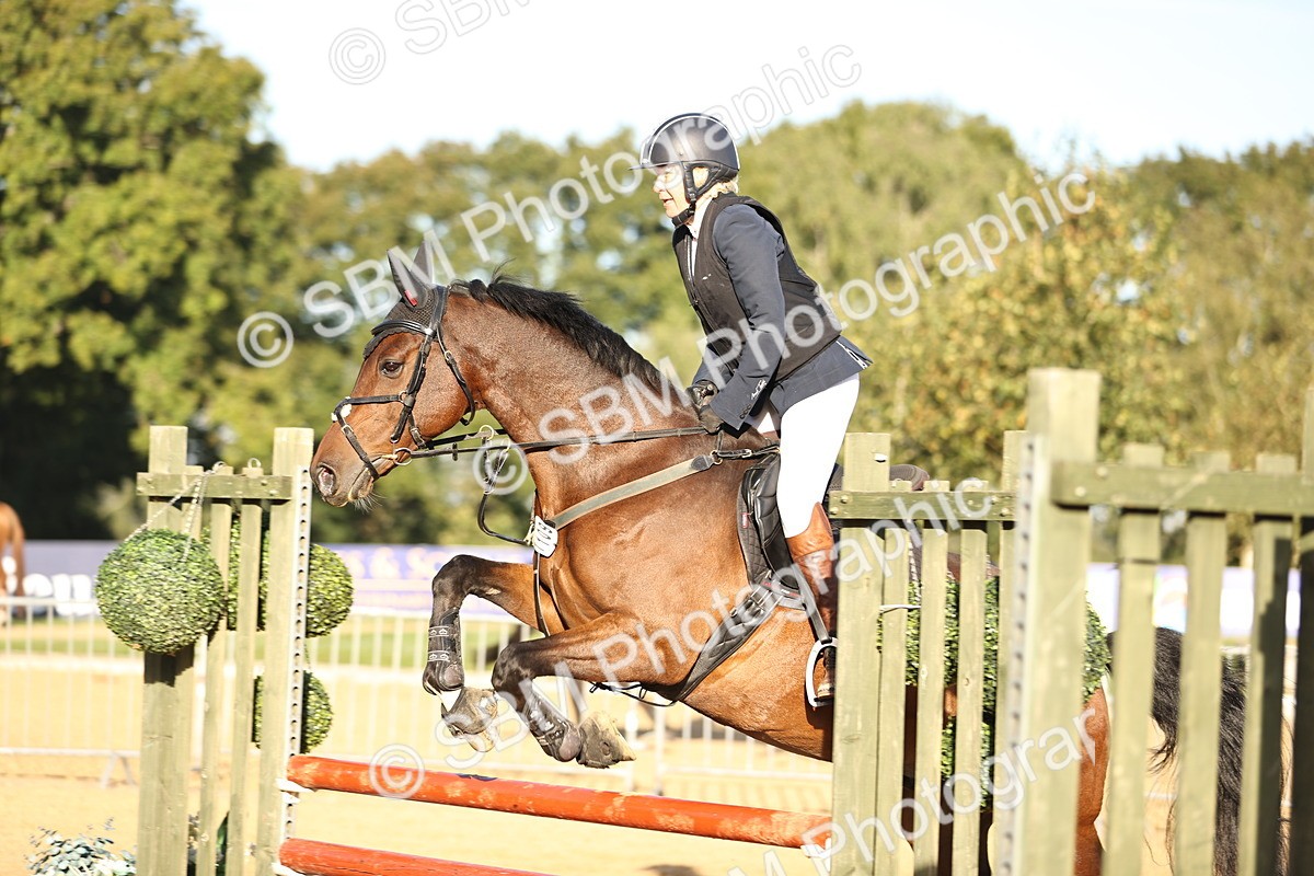 SBM_33120 - J38 - Senior 80cm Championship