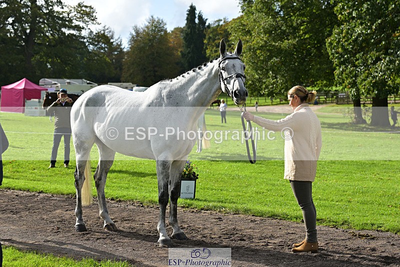 241023-132029-00216 - 014-Lizzie.Luxton-ST.TROPEZ