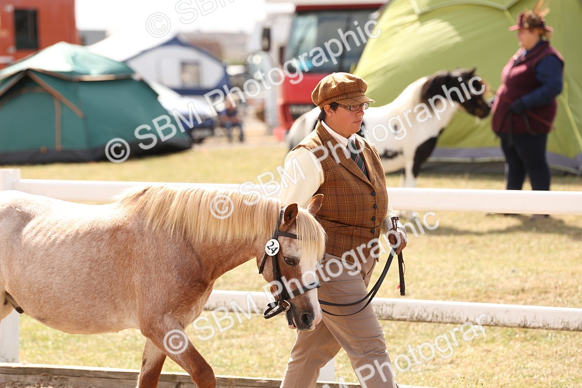 SBM_15017 - Class 209 - IH Veteran Pony